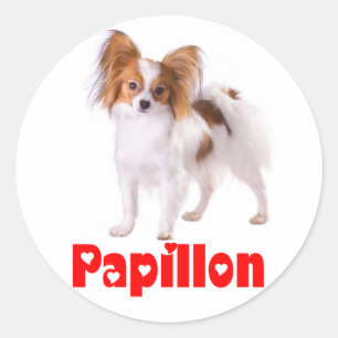 Pegatina Redonda Cachorro Papillon - Ama a los Cachorros, Hola