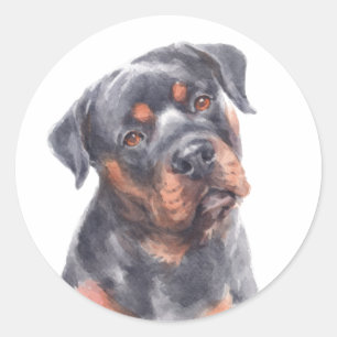 Pegatina Redonda Cachorro Rottie de agua dulce Rottweiler