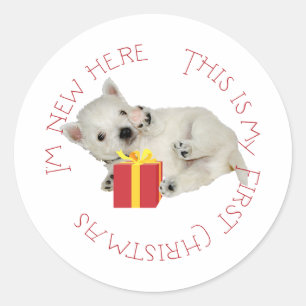 Pegatina Redonda Cachorro Westie Primera Navidad