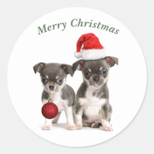 Pegatina Redonda Cachorros Chihuahua navideños