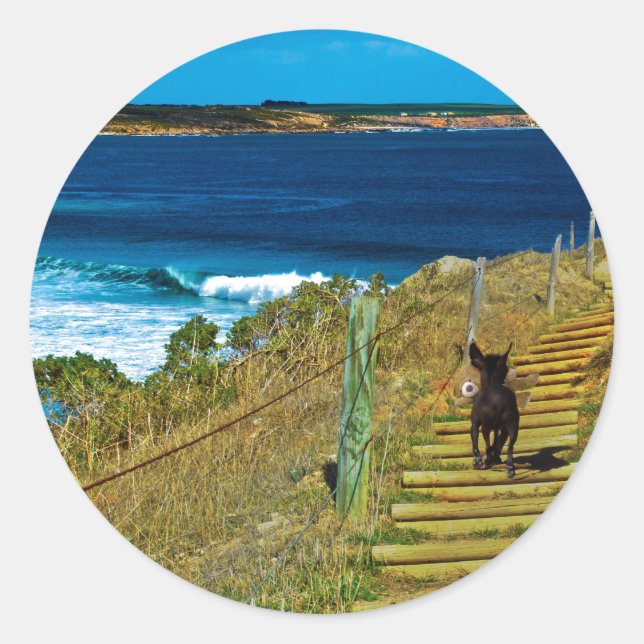 Pegatina Redonda Cachorros chinos, robles Pegatinas redondos de pel (Anverso)