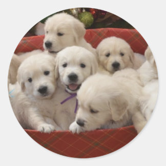 Pegatina Redonda Cachorros de Happy Holiday Golden Retriever
