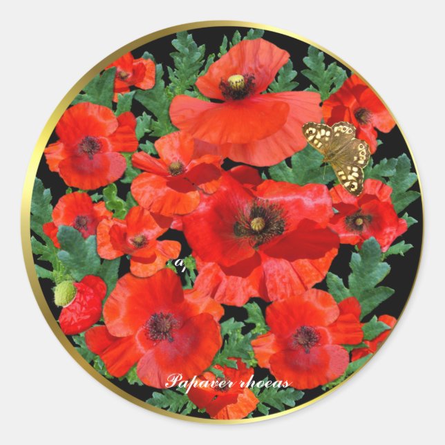 Pegatina Redonda Cachorros rojos salvajes con borde dorado (Anverso)