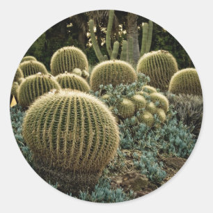 Pegatina Redonda Cactus