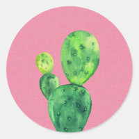 Cactus acuarela sobre rosa. Lindo verde suculento