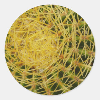 Pegatina Redonda Cactus Closeup Resumen Fotografía de la Naturaleza