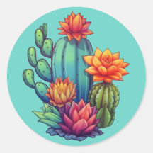 Cactus en crecimiento de bonito