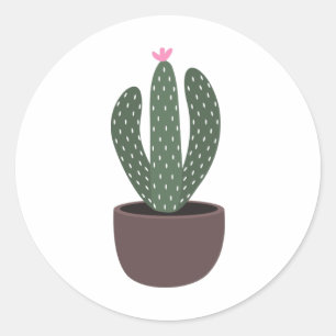 Pegatina Redonda Cactus in pot