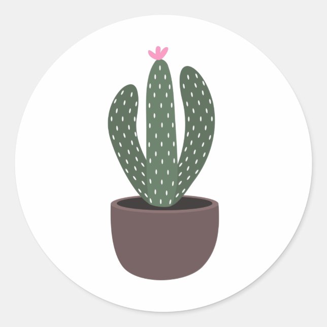 Pegatina Redonda Cactus in pot (Anverso)