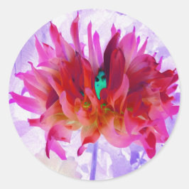 Pegatina Redonda Cactus Rojo y Rosa Caliente Dahlia