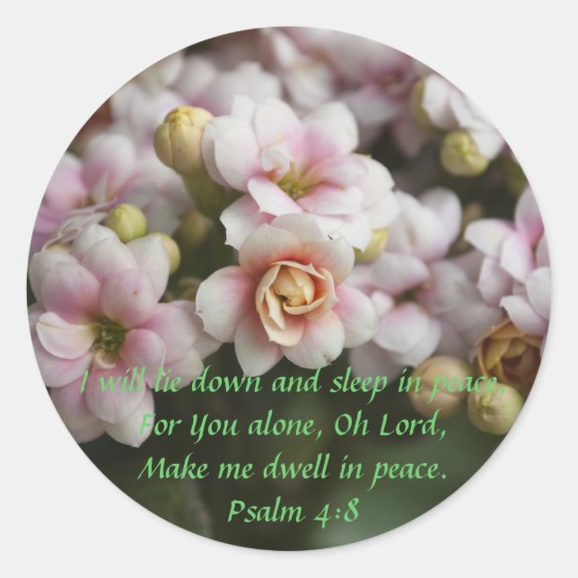 Pegatina Redonda Cactus Rosa (Anverso)