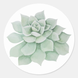 Pegatina Redonda Cactus Suculento Floral Mint Green