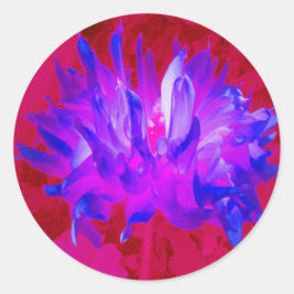 Pegatina Redonda Cactus Violeta Azul y Rosa Caliente Dahlia