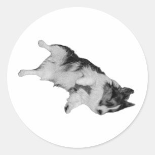 Pegatina Redonda Caída de confianza