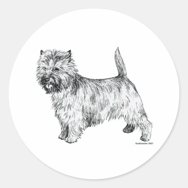 Pegatina Redonda Cairn Terrier (Anverso)