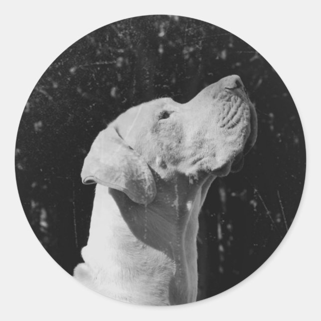 Pegatina Redonda Cajus Aufkleber (Anverso)