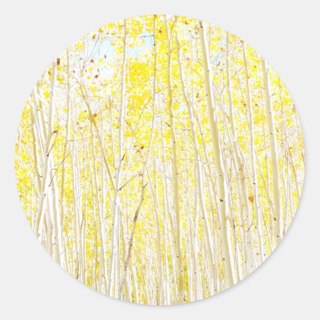 Pegatina Redonda Cake Aspen (Anverso)