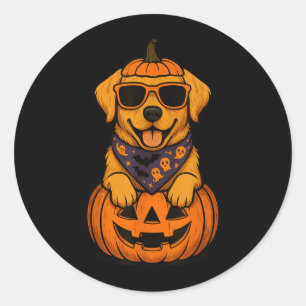 Pegatina Redonda Calabaza de Halloween de Labrador Retriever Amaril