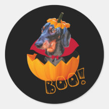 Calabaza de perro de salchicha de Halloween