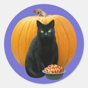 Pegatina Redonda Calabaza del gato negro