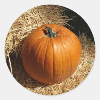 Pegatina Redonda Calabaza en Hay Bales