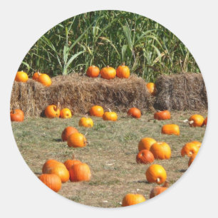 Pegatina Redonda Calabazas, maíz y heno Fotografía de la cosecha de
