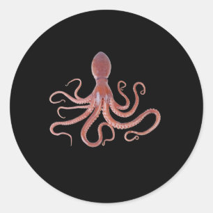 Pegatina Redonda Calamar Gigante Del Océano Para Los Amantes De Los