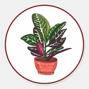 Pegatina Redonda Calathea Hand Drake Houseplant Art