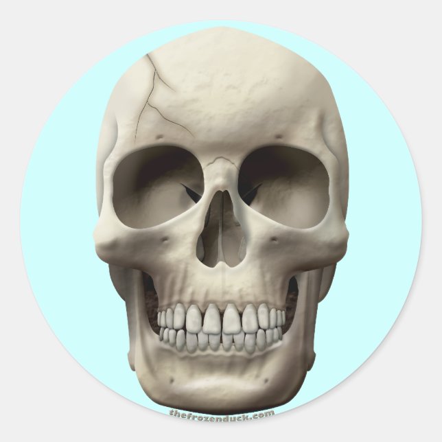 Pegatina Redonda Calavera resquebrajada (Anverso)