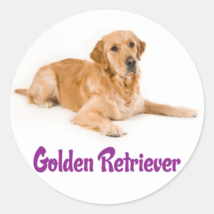 Pegatina Redonda Calcomanías de cachorro de perro retriever dorado