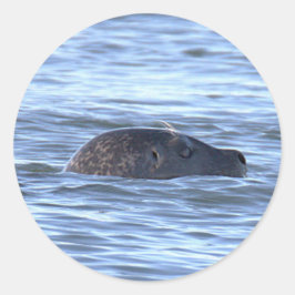 Pegatina Redonda Calcomanías de foca nadando en el océano