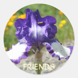 Pegatina Redonda CALCOMANÍAS DE MEJOR AMIGO Flores de Iris Morado R