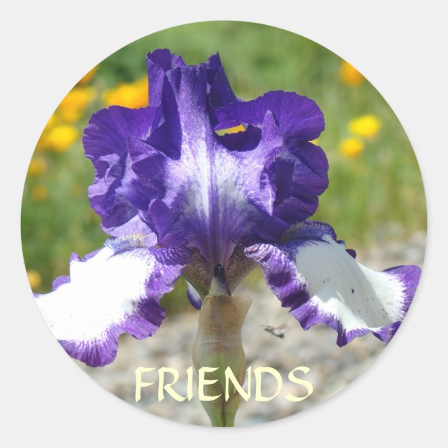 Pegatina Redonda CALCOMANÍAS DE MEJOR AMIGO Flores de Iris Morado R (Anverso)