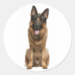 Pegatina Redonda Calcomanías de perro cachorro Pastor Alemán