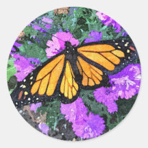 Calcomanías Monarch & Asters