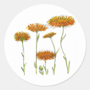 Pegatina Redonda Calendular