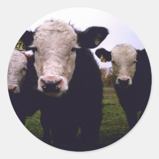 Pegatina Redonda Calf Trio