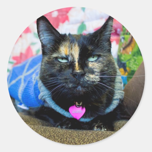 Pegatina Redonda Calico I (Anverso)