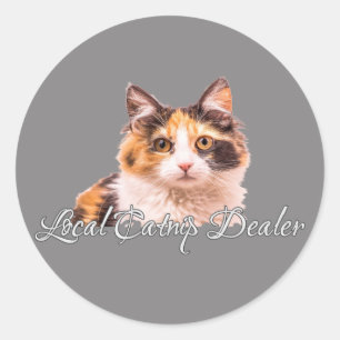 Pegatina Redonda Calico Kitten Local Catnip Dealer