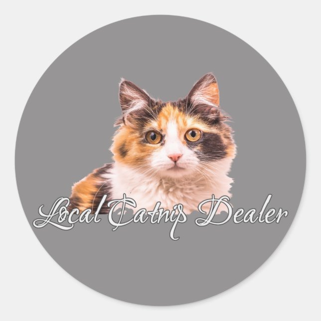 Pegatina Redonda Calico Kitten Local Catnip Dealer (Anverso)