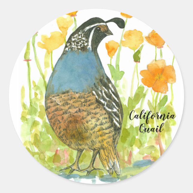 Pegatina Redonda California Poppies Quail Bird Watercolor (Anverso)