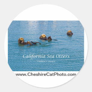 Pegatina Redonda California Sea Otter California Products