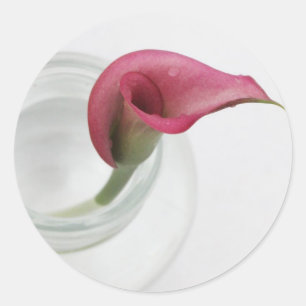 Pegatina Redonda Calla Lily