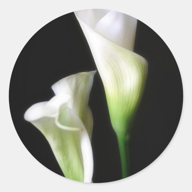 Pegatina Redonda Calla Lily 2 (Anverso)