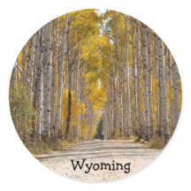 Calle Aspen En Otoño