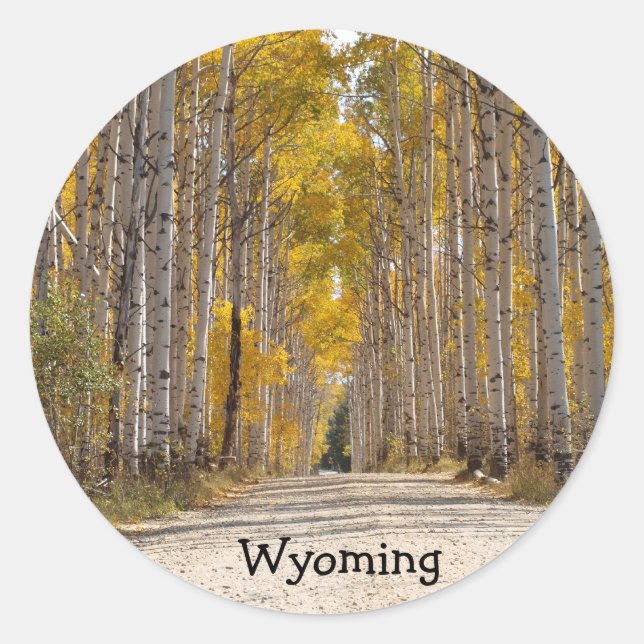 Pegatina Redonda Calle Aspen En Otoño (Anverso)