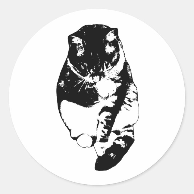 Pegatina Redonda Calm Snow Shimmer (Anverso)