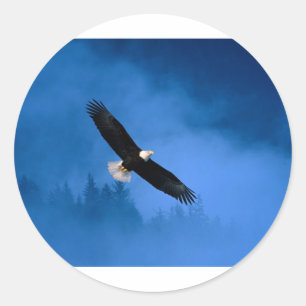 Pegatina Redonda Calvo-Eagle-Alaska