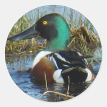 Calzado del norte B25