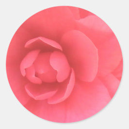 Pegatina Redonda Camellia rosa